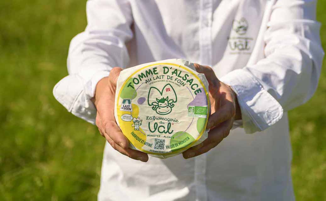 Gros plan sur Tomme affinée au lait BIO d’Alsace certifié STG Lait de Foin, produite par la Fromagerie du Val.